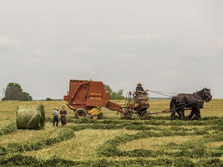 Farmland an Agriculture Category Flat Bootstrap Responsive Web Template