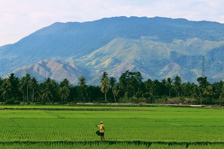 Agro Field Agriculture Category Bootstrap Responsive Web Template.