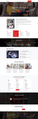 Washing Website Template