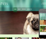 4Pets animals Mobile Website Template