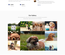 Dogs Care a Pet Care Website Template