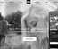 Black and White a Educational Category Flat Responsive web template