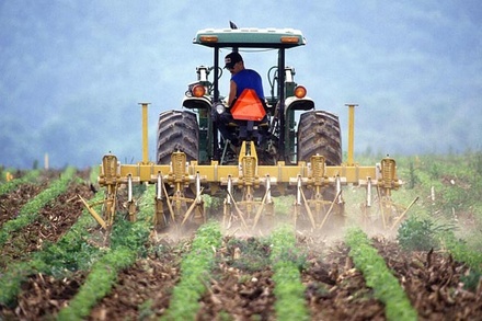 Farming Company an Agriculture Flat Bootstrap Responsive Web Template