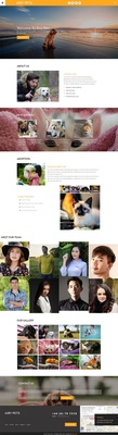 Airy Pets an animals Category Bootstrap Responsive Web Template