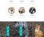 Cat Life – Animals Category Bootstrap Responsive Web Template