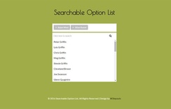 Searchable Option list Responsive Widget Template