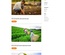 Farmstead Website Template