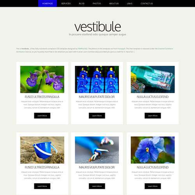 Vestibule: CSS Templates | TEMPLATED