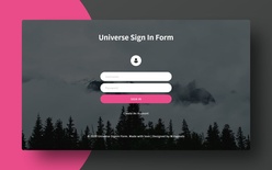 Universe Sign In Form