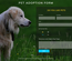 Pet Adoption Form Responsive Widget Template