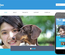 Pet Care a Animal Category Flat Bootstrap Responsive Web Template