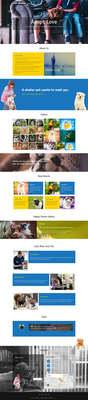 Pet Shelter an Animal Category Bootstrap Responsive Web Template