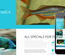 Aquarius a Animal Category Flat Bootstrap Responsive web template