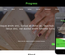 Progress a Educational Category Flat Bootstrap Responsive web template