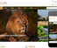 Wild Life a Animal Category Flat Bootstrap Responsive Web Template