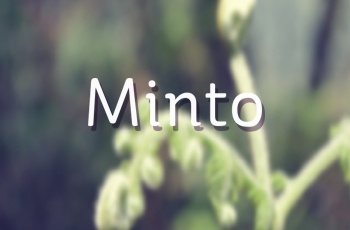 Minto a Corporate Multipurpose Flat Bootstrap Responsive web template