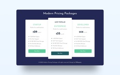 Modern Pricing Package Web Element