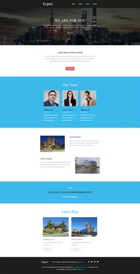 Expert a Newsletter Template