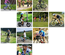 Cycling a Sports Category Flat Bootstrap Responsive Web Template