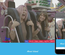 Joy Amusement Park An Entertainment Category Bootstrap Responsive Web Template