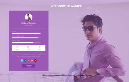 Mini Profile Widget Responsive Template