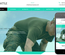 Chattle a Industrial Category Flat Bootstrap Responsive Web Template