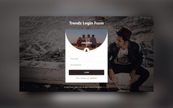 Trendz Login Form Web Element