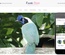 Exotic Birds a Animal Category Flat Bootstrap Responsive Web Template