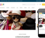 Shoppe a Flat ECommerce Bootstrap Responsive Web Template