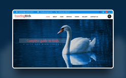 Dazzling Birds an Animal Category Bootstrap Responsive Web Template