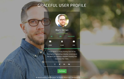 Graceful User Profile Responsive Widget Template