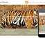 Zoo Planet a Animals Category Flat Bootstrap Responsive Web Template