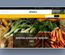 Arable Agriculture Category Bootstrap Responsive Web Template.