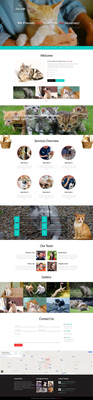 Cat Life – Animals Category Bootstrap Responsive Web Template