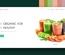 Organic Food – Agriculture Category Bootstrap Responsive Web Template