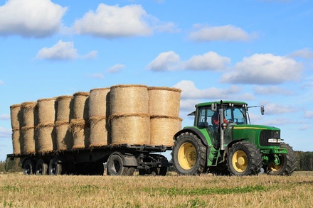 Growing an Agriculture Category Bootstrap Responsive Web Template