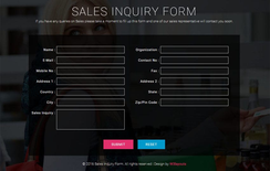 Sales Inquiry Form Responsive Widget Template