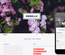 Mr Belle a Singlepage Multipurpose Flat Bootstrap Responsive web template