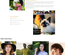 Airy Pets an animals Category Bootstrap Responsive Web Template