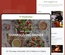 Thanksgiving day – Responsive Email Template