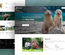 Dogs Care a Pet Care Website Template