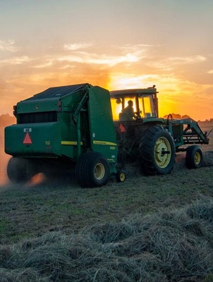 Arable Agriculture Category Bootstrap Responsive Web Template.