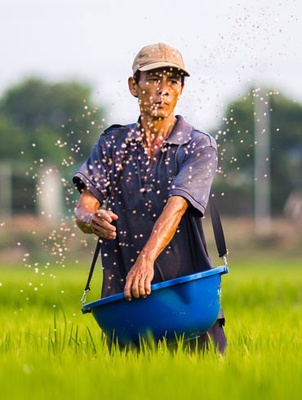 Agro Field Agriculture Category Bootstrap Responsive Web Template.