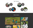 Birds Care – Animals Category Bootstrap Responsive Web Template