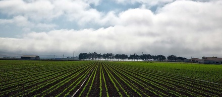 Farmland an Agriculture Category Flat Bootstrap Responsive Web Template