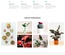 Florae Exterior Designs Category Bootstrap Responsive Website Template