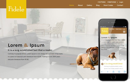 Fidele a Animal Category Flat Bootstrap Responsive Web Template