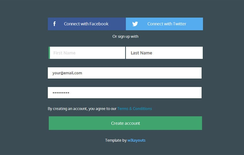 Signup Form Flat Template