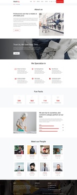 Washing Website Template