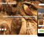 Dinosaur World a Animal Category Flat Bootstrap Responsive Web Template